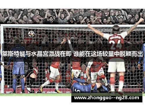 莱斯特城与水晶宫激战在即 谁能在这场较量中脱颖而出 莱斯特城与水晶宫激战在即 谁能在这场较量中脱颖而出